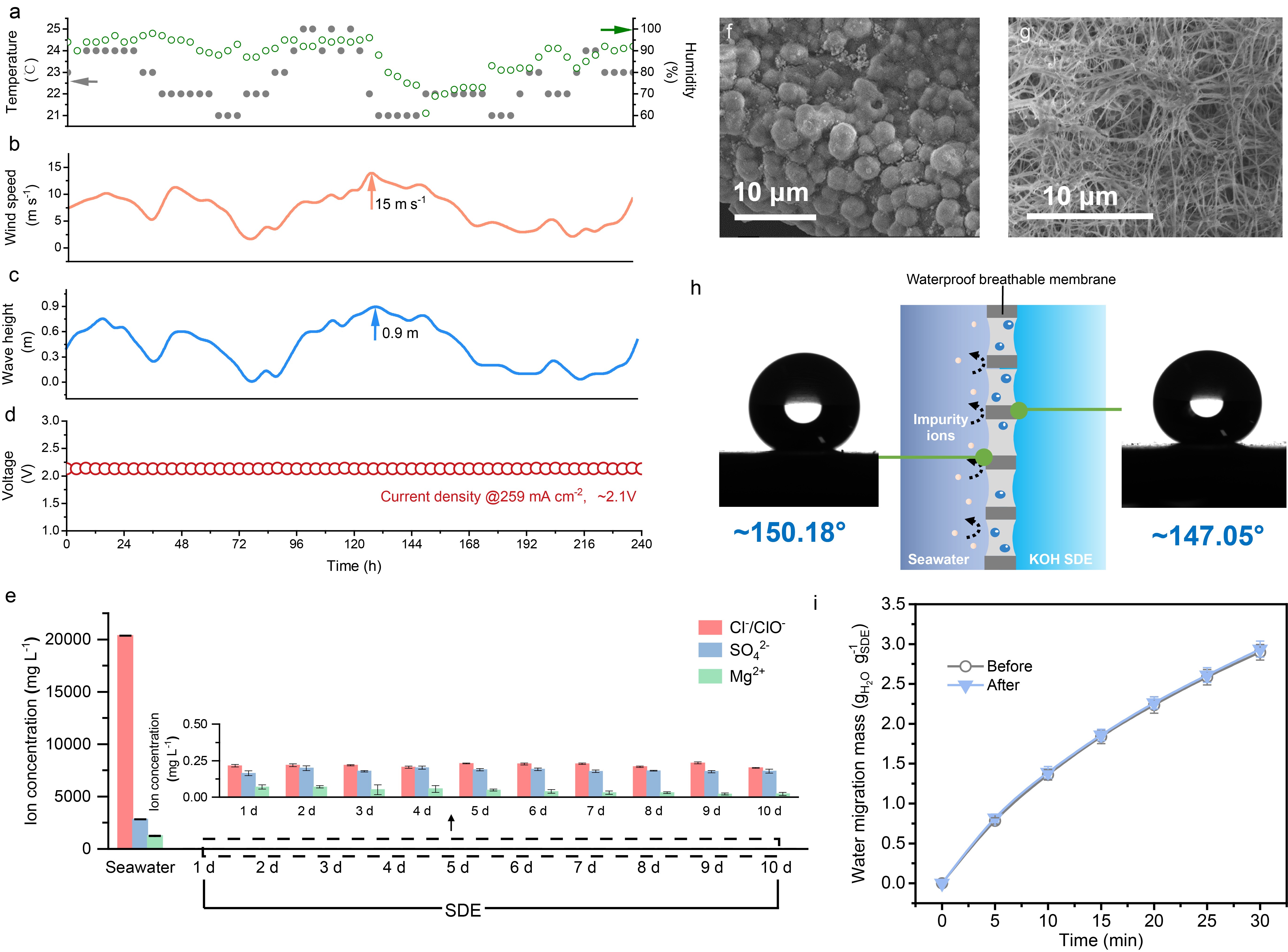 EBETÒײ©¡¤(Öйú)ÕæÈËÆ½Ì¨