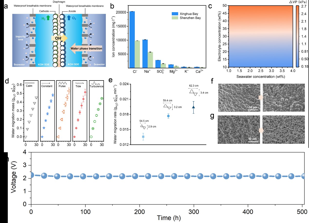 EBETÒײ©¡¤(Öйú)ÕæÈËÆ½Ì¨